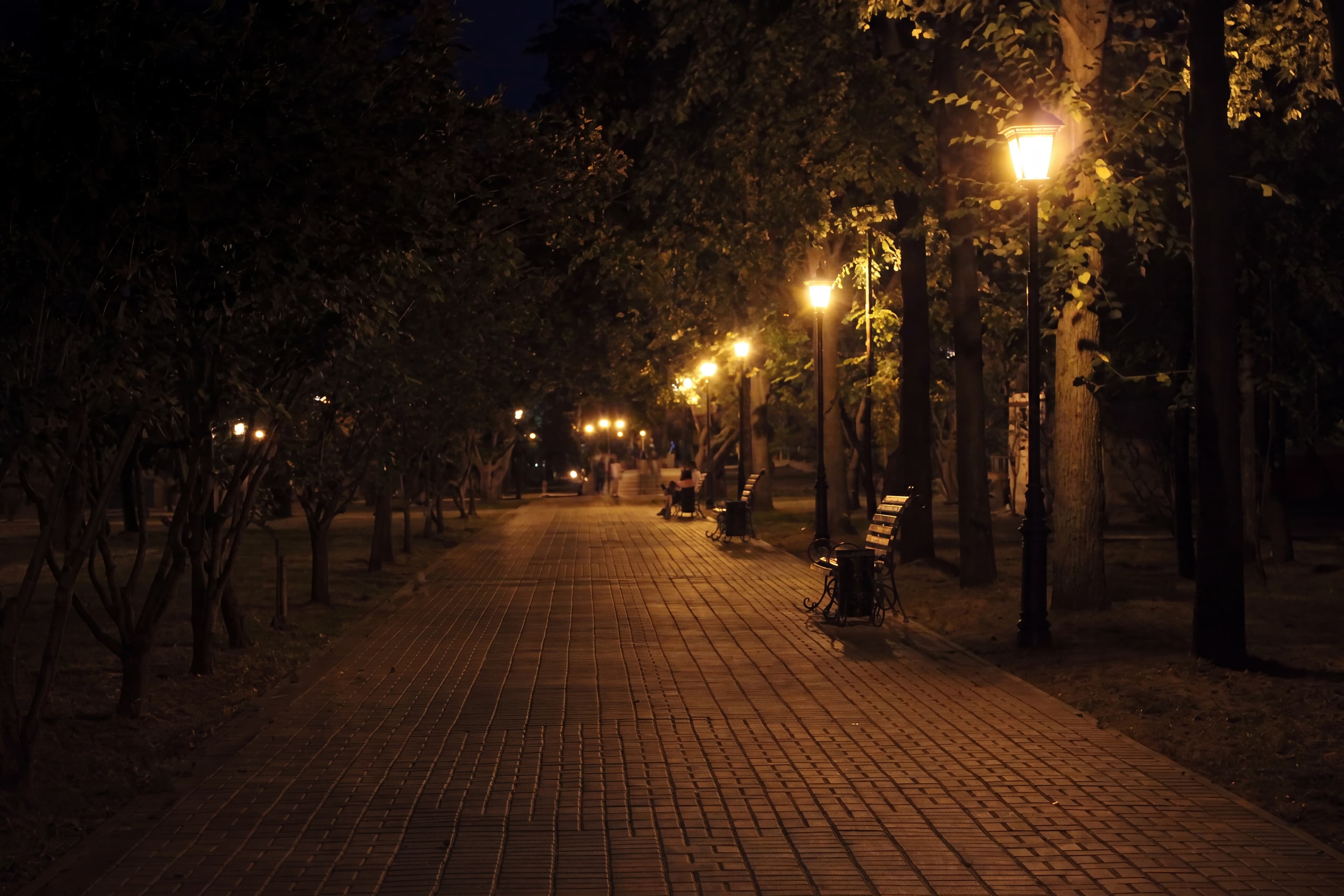 Пейзаж после